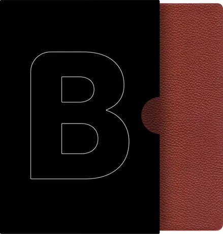 Bible21, pravá kůže