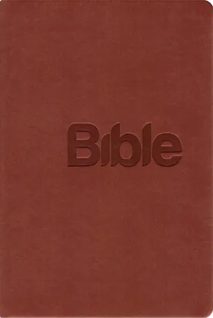 Bible21