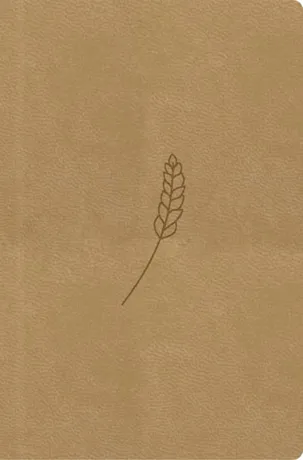 Bible21, kapesní, honey