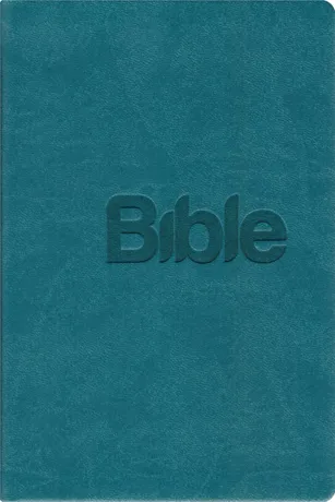 Bible21