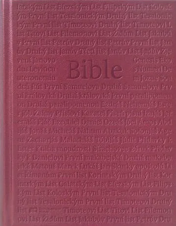 Bible ČEP DT rodinná, lesklá vínová