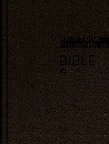 Bible ČEP DT velký formát, pevná vazba, zlatohnědá, 