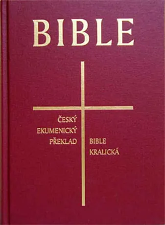 Česká synoptická Bible /pevná vazba/