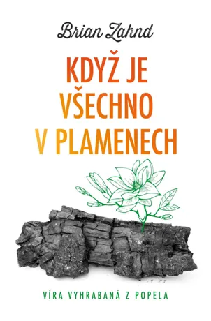 Když je všechno v plamenech