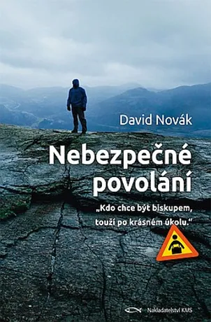 Nebezpečné povolání, David Novák