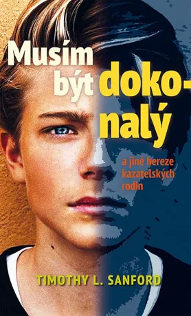 Musím být dokonalý