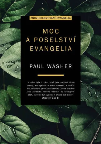Moc a poselství evangelia, Paul Washer