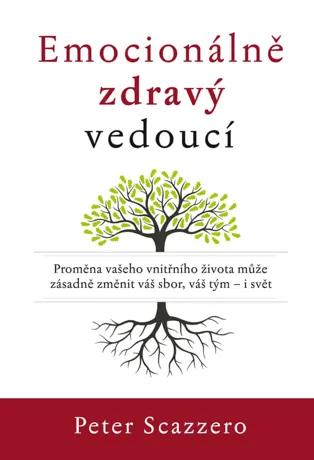 Emocionálně zdravý vedoucí, Peter Scazzero