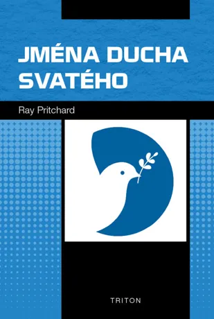 Jména Ducha svatého, Ray Pritchard