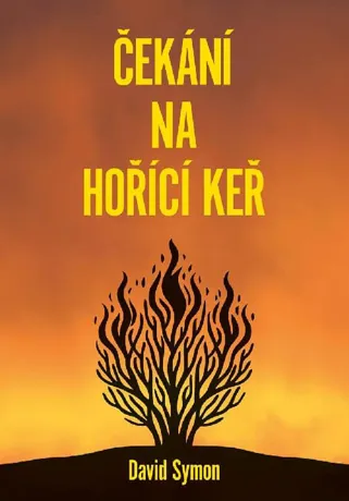 Čekání na hořící keř, David Symon