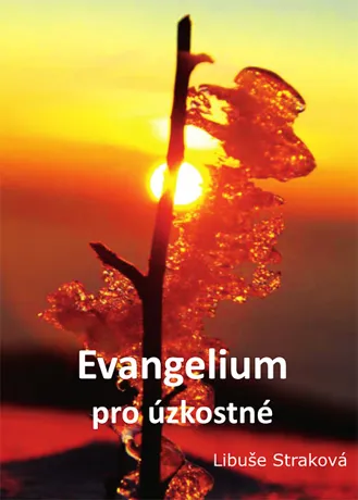 Evangelium pro úzkostné, Libuše Straková